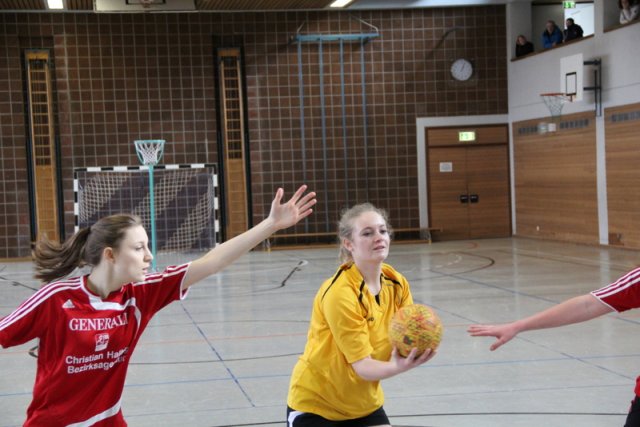 2017_02_19 Landesliga Frauen und Jugend 19